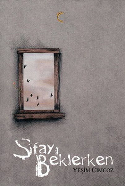 Şifayı Beklerken kitap kapağı
